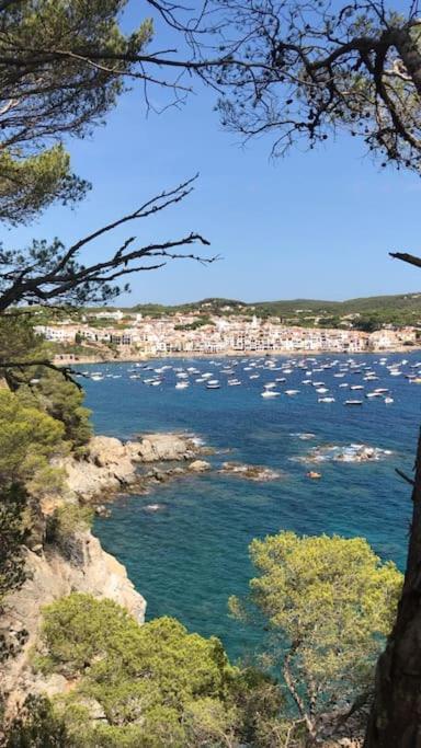 The Golden Oak In Calella Centre - 100M From Beach Палафружель Экстерьер фото